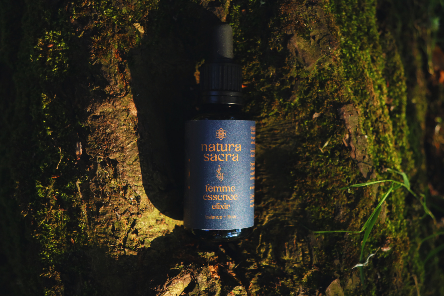 embodied femme collection-4